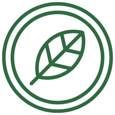green leaf png